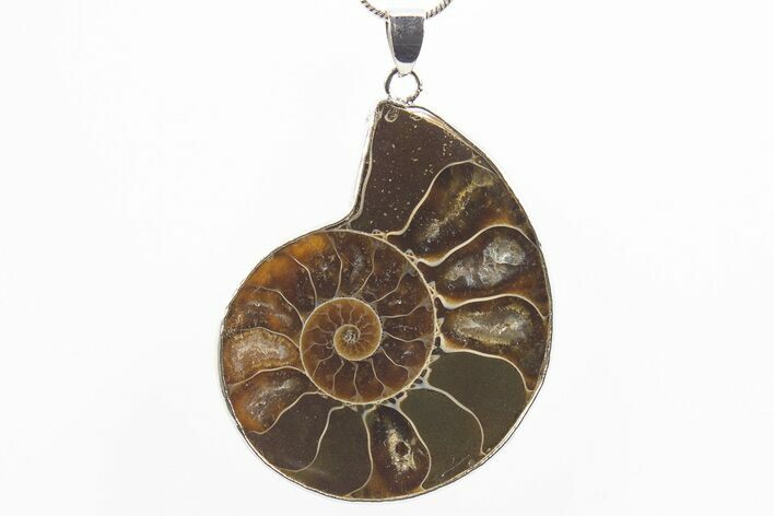 Fossil Ammonite Pendant - Million Years Old #306495